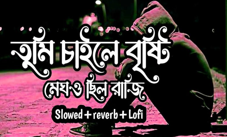 তুমি চাইলে বৃষ্টি মেঘও ছিল রাজি lyrics